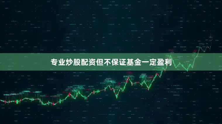 专业炒股配资但不保证基金一定盈利